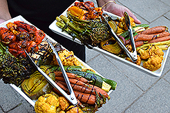 LOVE IN BLOOM AT WISTERIA HALL